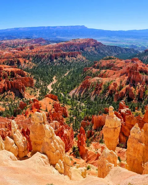 Bryce Canyon amphitheater of crimson and white hoodoos under blue sky