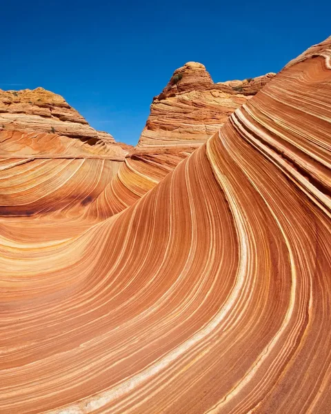 The Wave sandstone formation's sweeping layered curves in Arizona