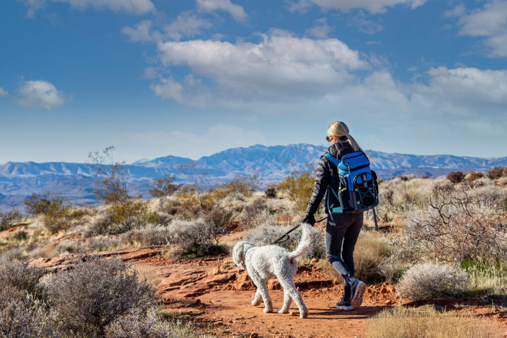 Hiker taking her leashed dog on a hike.